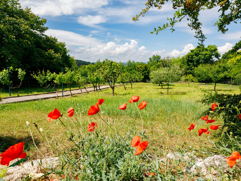 Balaton039