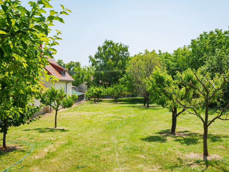 Szijartó