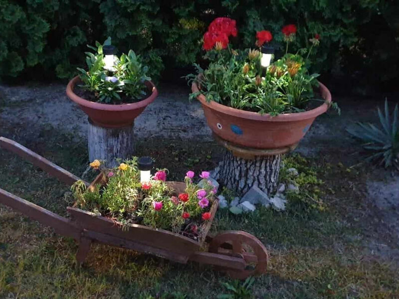 Gitta Hasz