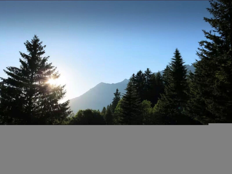Chalet de Bois