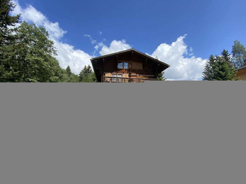Chalet de Bois