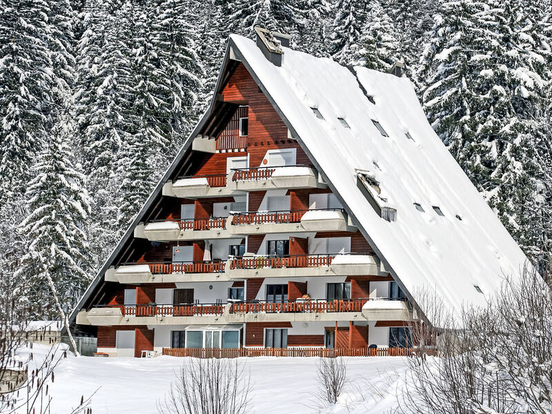 Anémone