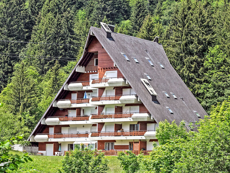 Anémone