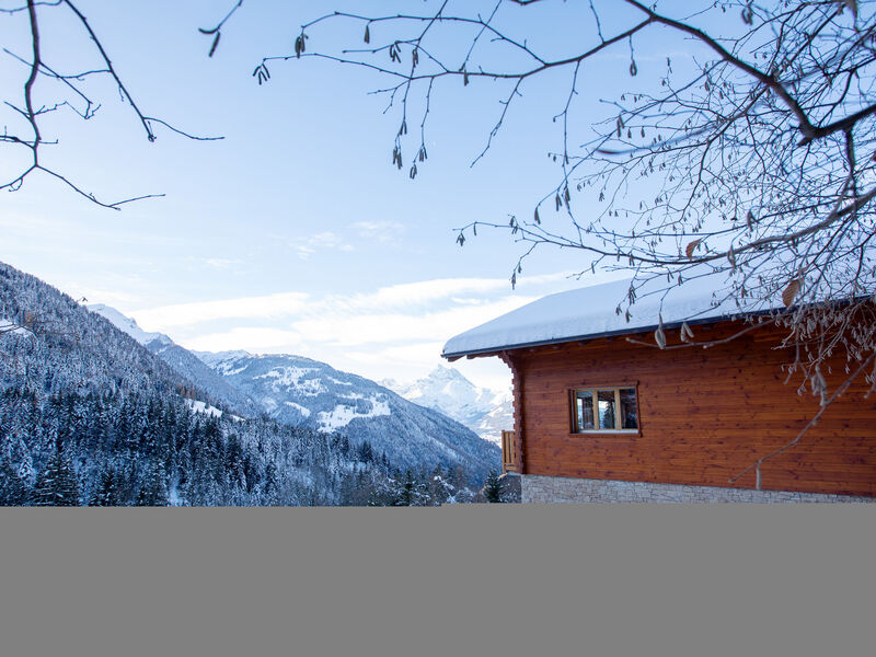 Chalet les Pars