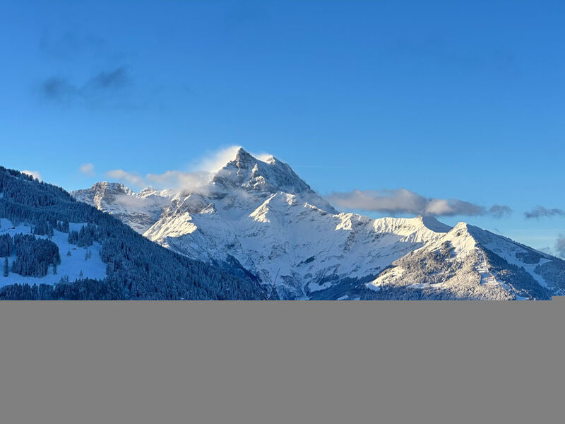 Chalet les Pars