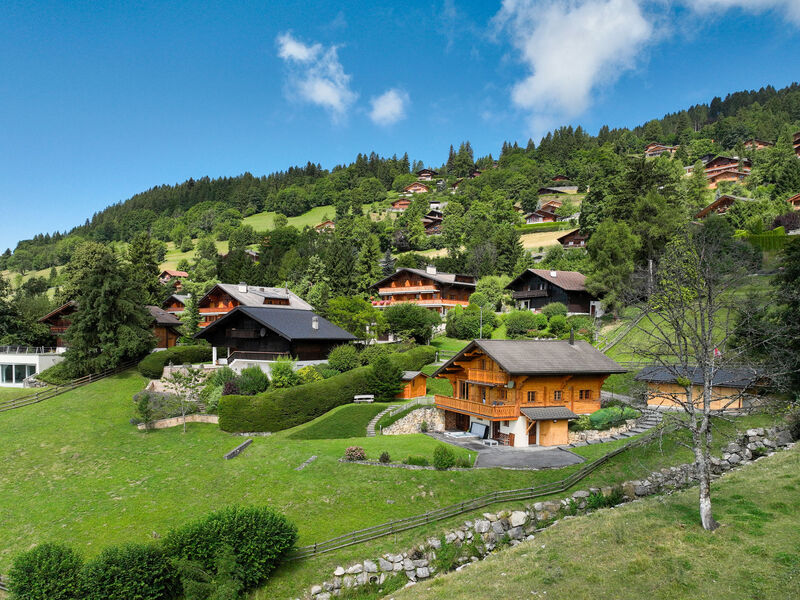 Chalet Nirvana