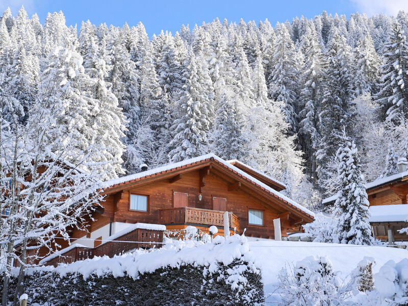Chalet Petit Pont