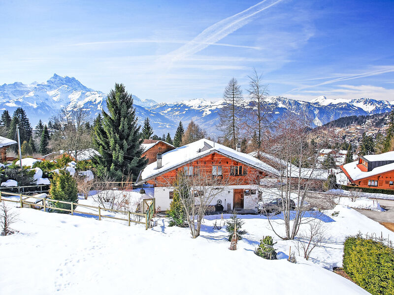 Chalet Petit Pont