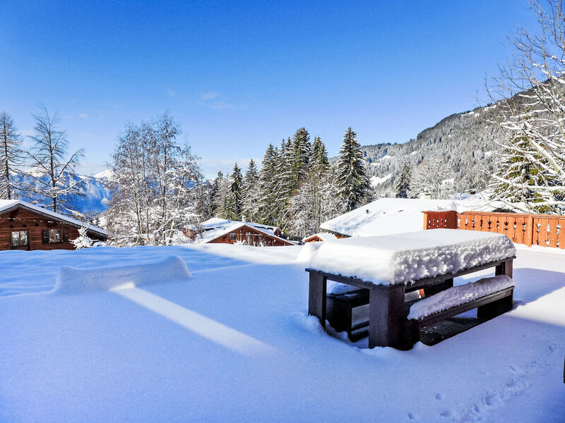 Chalet Petit Pont