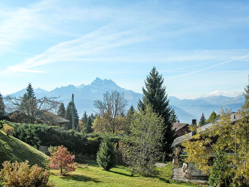 Chalet Petit Pont