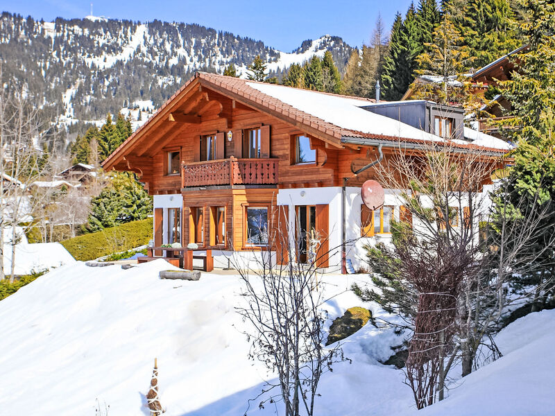Chalet Petit Pont