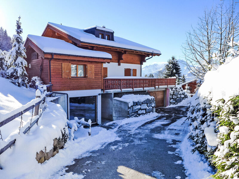 Chalet Petit Pont