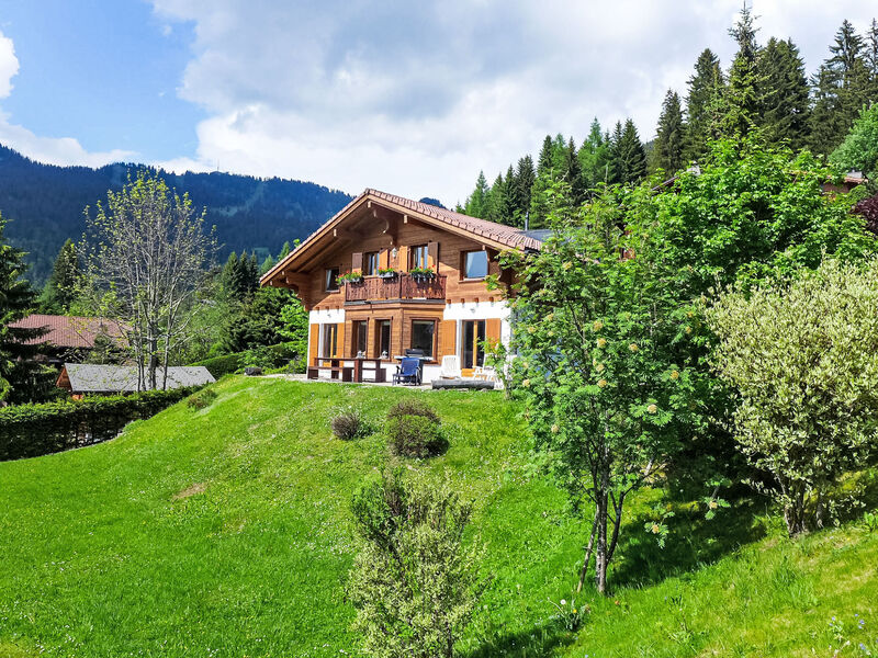 Chalet Petit Pont