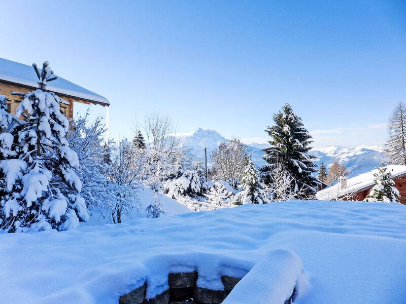Chalet Petit Pont