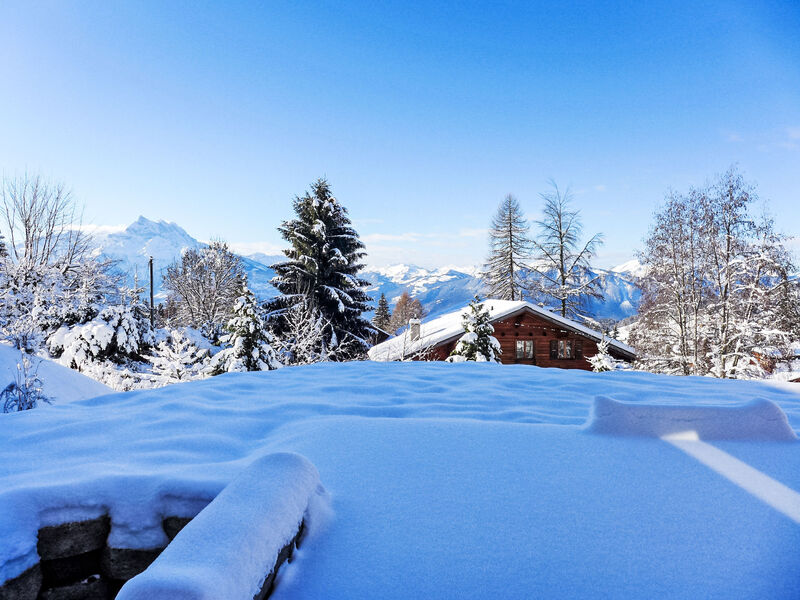 Chalet Petit Pont