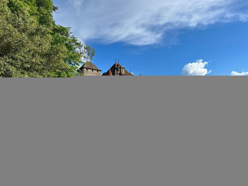 Vigneronne, App. Lac