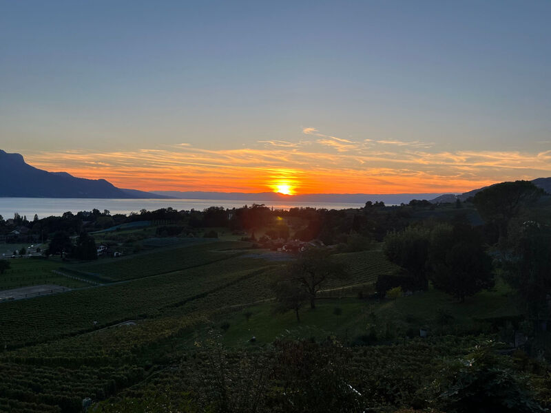 Vigneronne, App. Lac