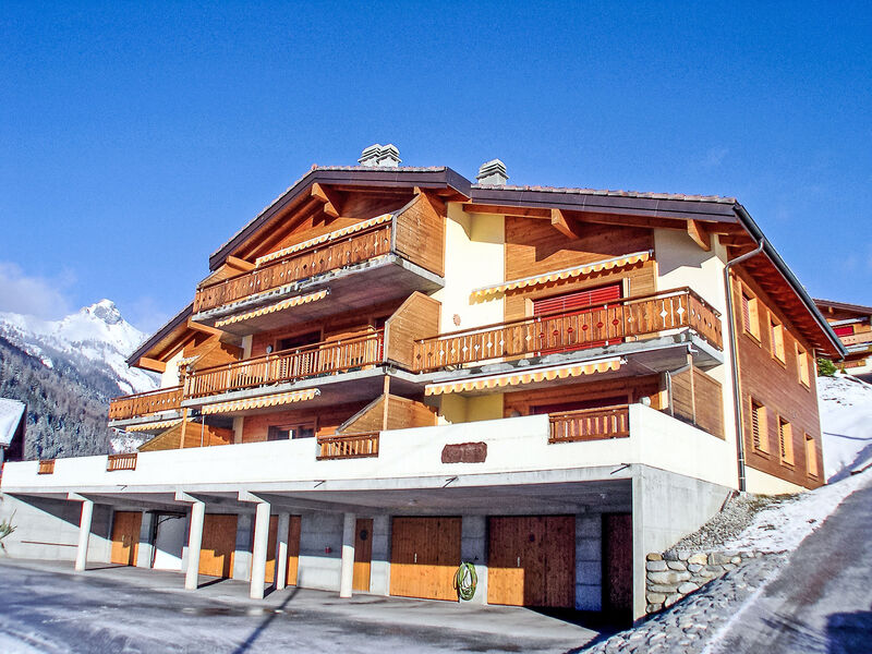 Caroubier 2