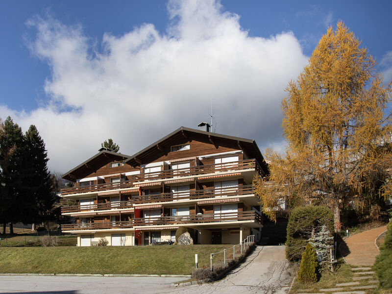 Beau Site 19