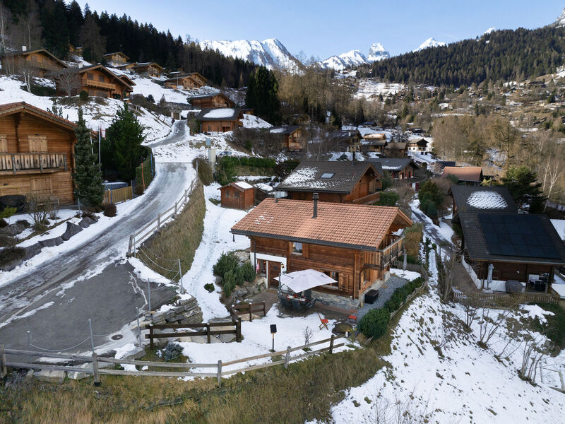 L'Ecureuil Noir
