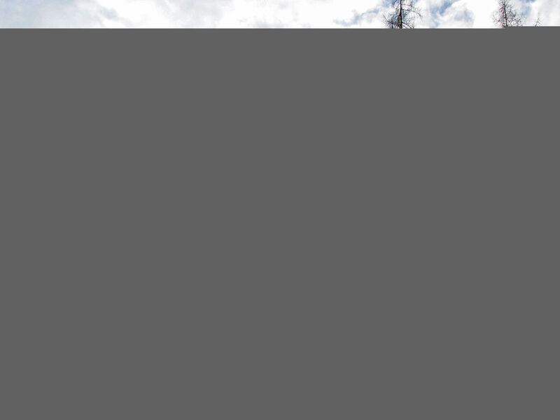 Chalet Edelweiss