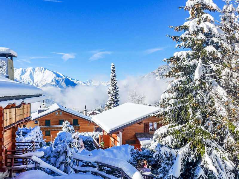 Boule De Neige