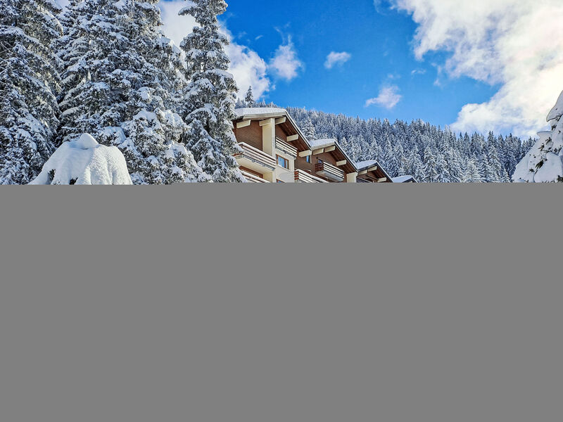 Les Bruyeres