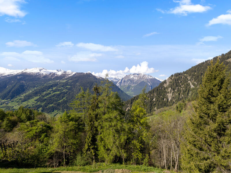 Beausoleil 14