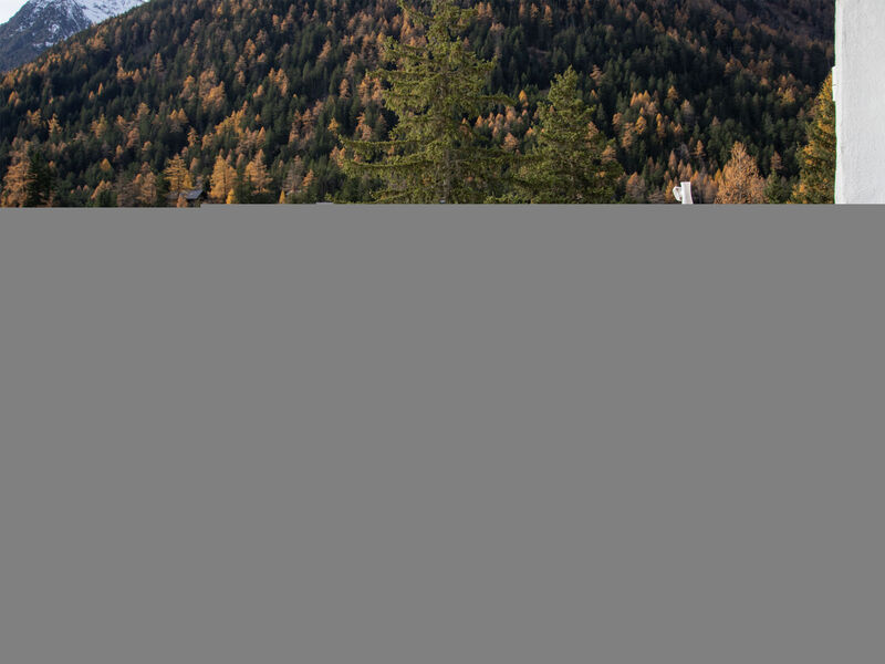 Alpes Et Lac
