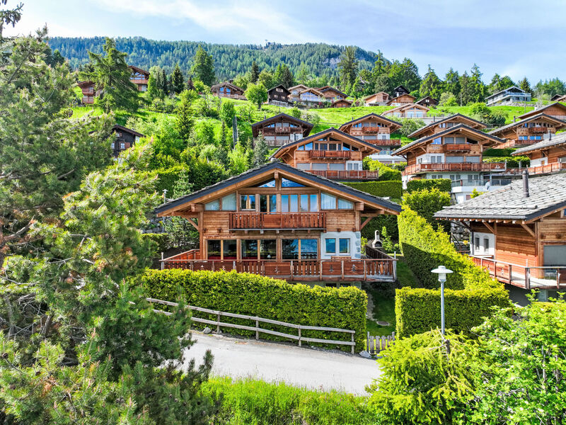 Rêves Des Alpes