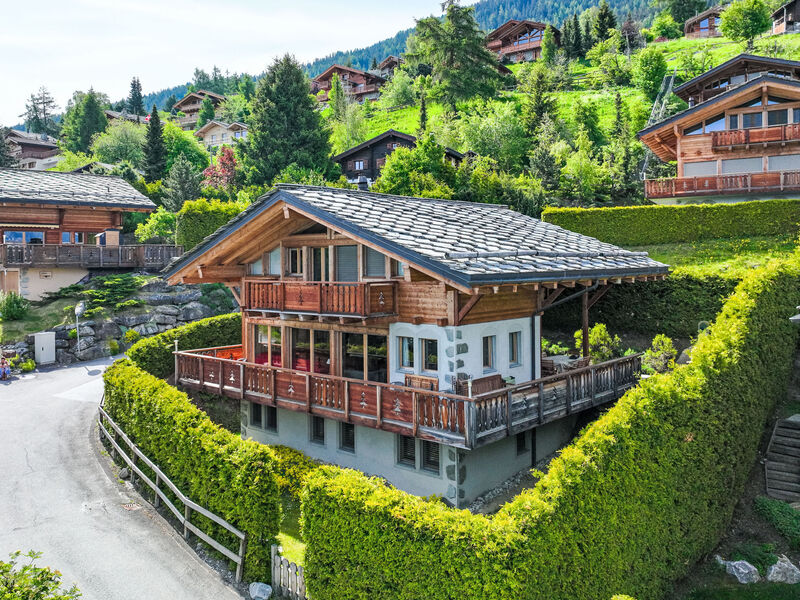 Rêves Des Alpes