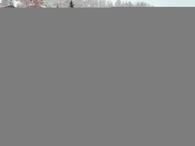 Chalet Grepon