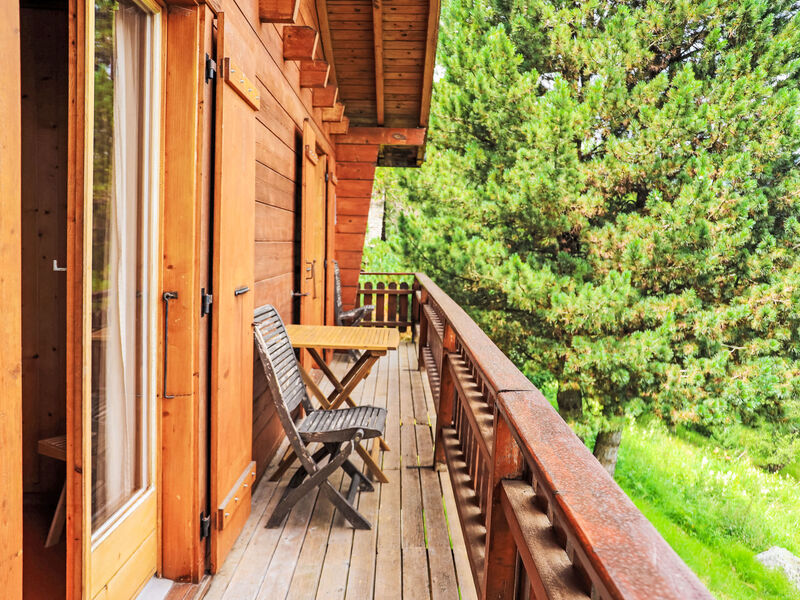 Mungg