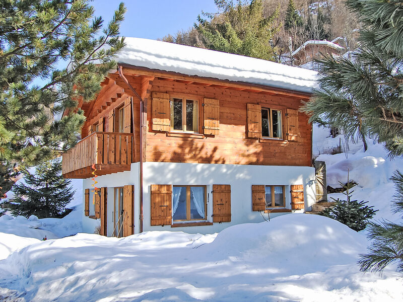 Chalet Picardie