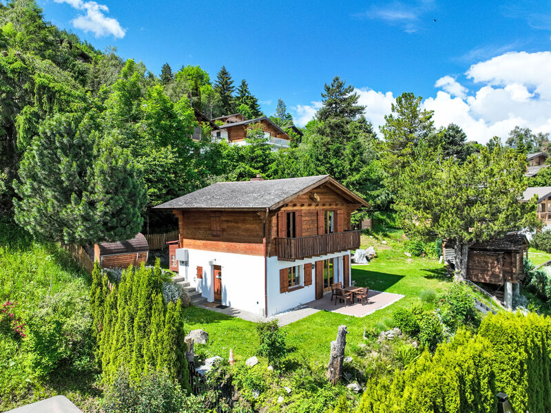 Chalet Picardie