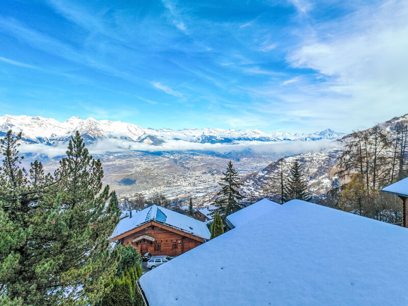 Chalet Picardie