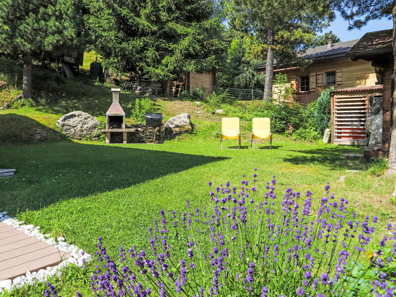 Chalet Picardie