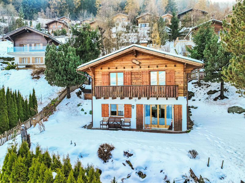 Chalet Picardie
