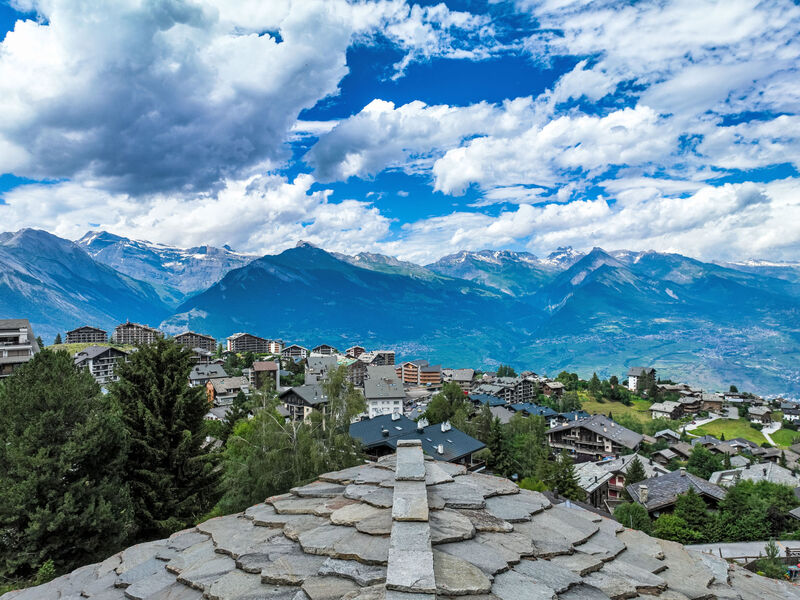 Chalet Arvine