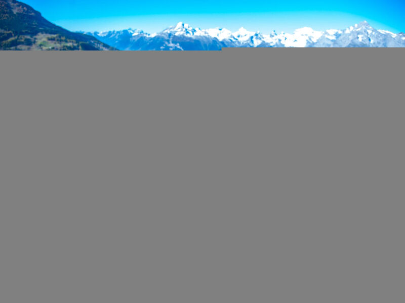 Alm Mayen im Wallis von 1904