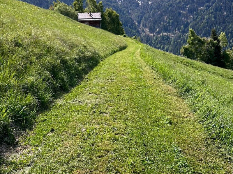 Alm Mayen im Wallis von 1904