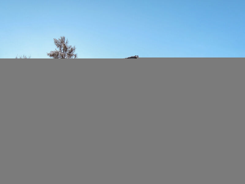 Les Terrasses Du Paradis