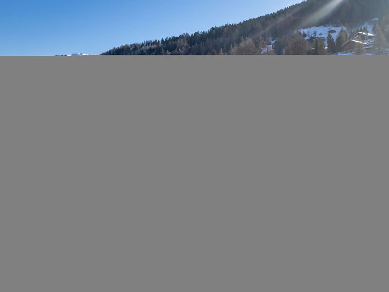 Les Terrasses de Nendaz D1