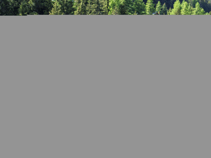 Chalet Gaea