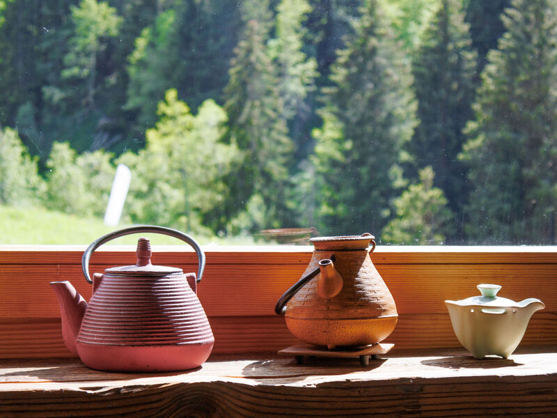 Chalet Gaea