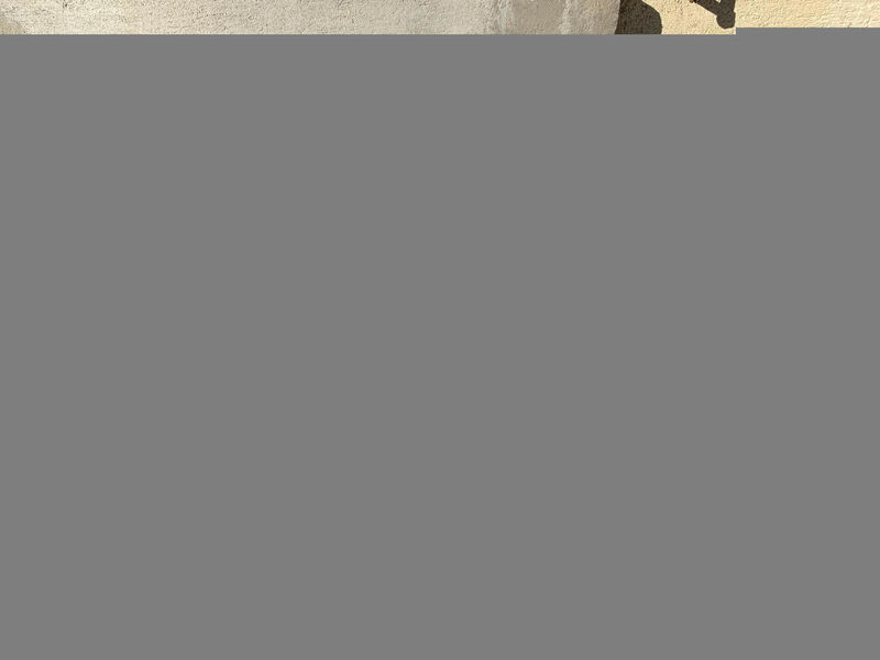 Enzian