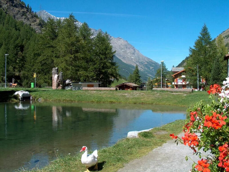Chalet Alpenrösli