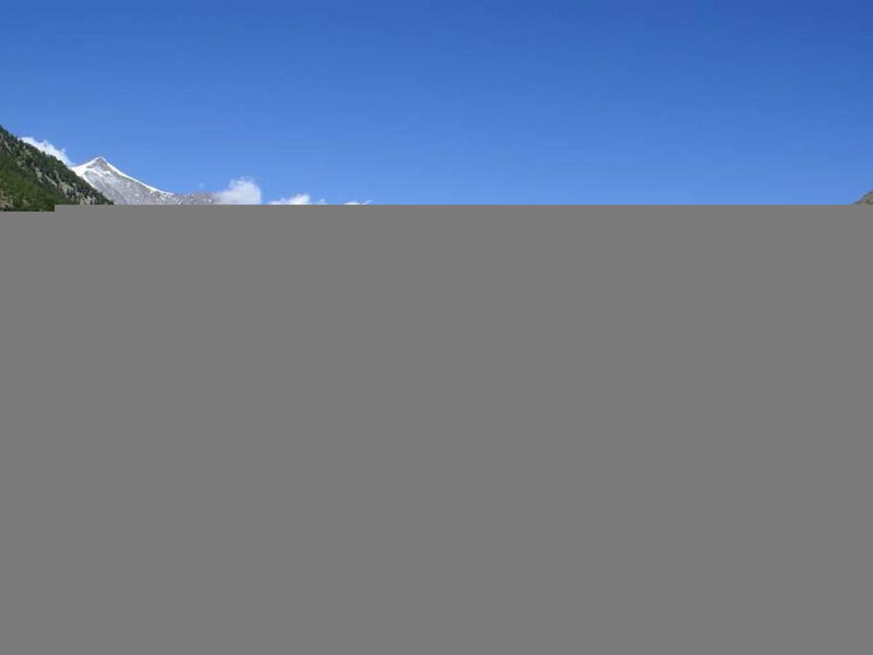 Dům Alpenrose