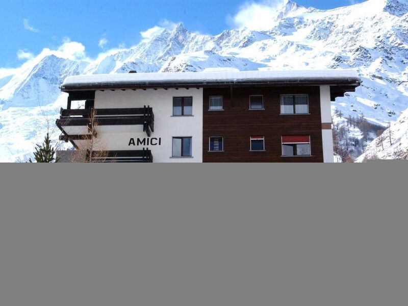 Amici