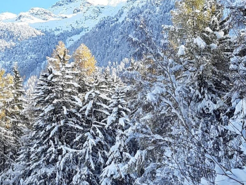 Schweiz Chalet,Grächen,St.Niklaus bis 10 Person
